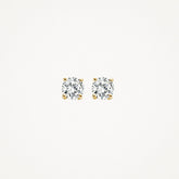 Blush Ohrhänger 7014YZI - Gelbgold (585) mit Zirkonia